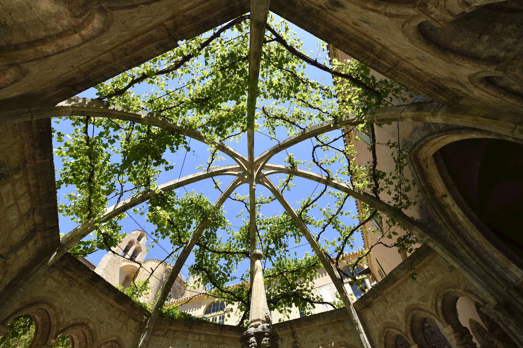 France, Herault, Villeveyrac, the Valmagne abbey, a fountain in the cloister