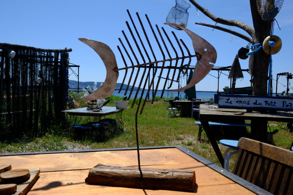 Vue bord étang de thau