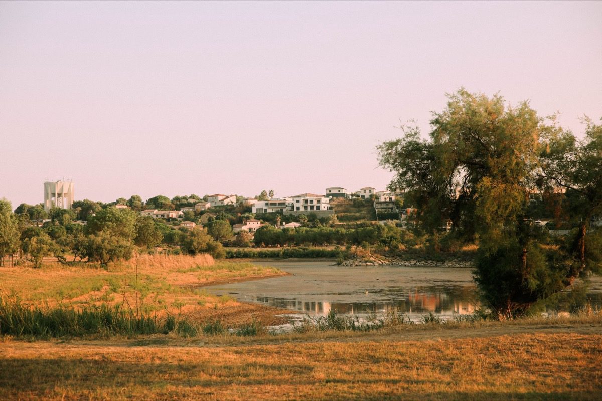 Le lac du Sesquier en fin de journée, roseaux et tamaris au premier plan