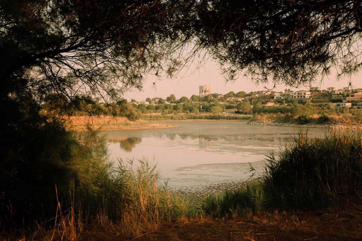 Le lac du Sesquier vu à travers les branches de tamaris au coucher du soleil
